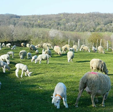 Auberge à la Ferme du Mont