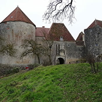 Près du château fort de La Motte Josserand - PERROY